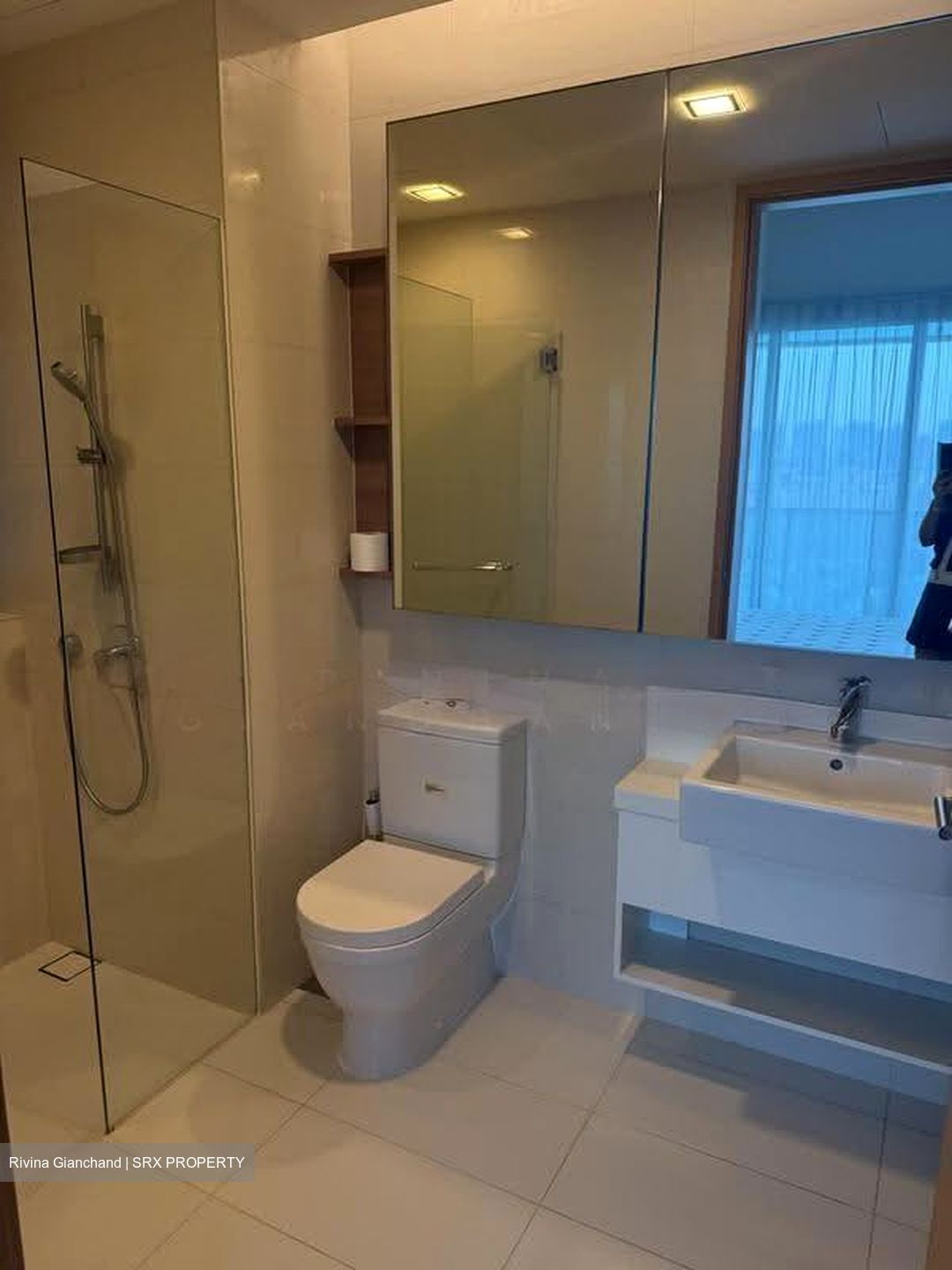Soleil @ Sinaran (D11), Condominium #614091691